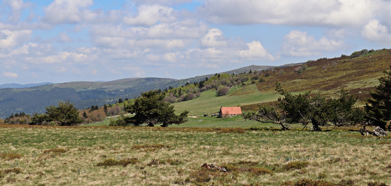 Jacine 05 2018 JCC Jasserie de la Jacine sur les Hautes Chaumes du Forez. Lieu destive et de fabrication de la fourme dAmbert ou de Montbrison. Cliché de Jean Claude CORBEL small