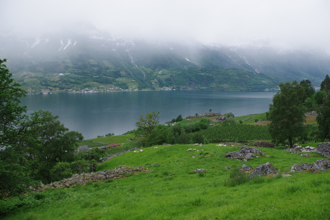 K3 P3048 Ullensvang in the inland in the south of Norway in 60oN. Picture is taken by H. Sickle NIBIO small